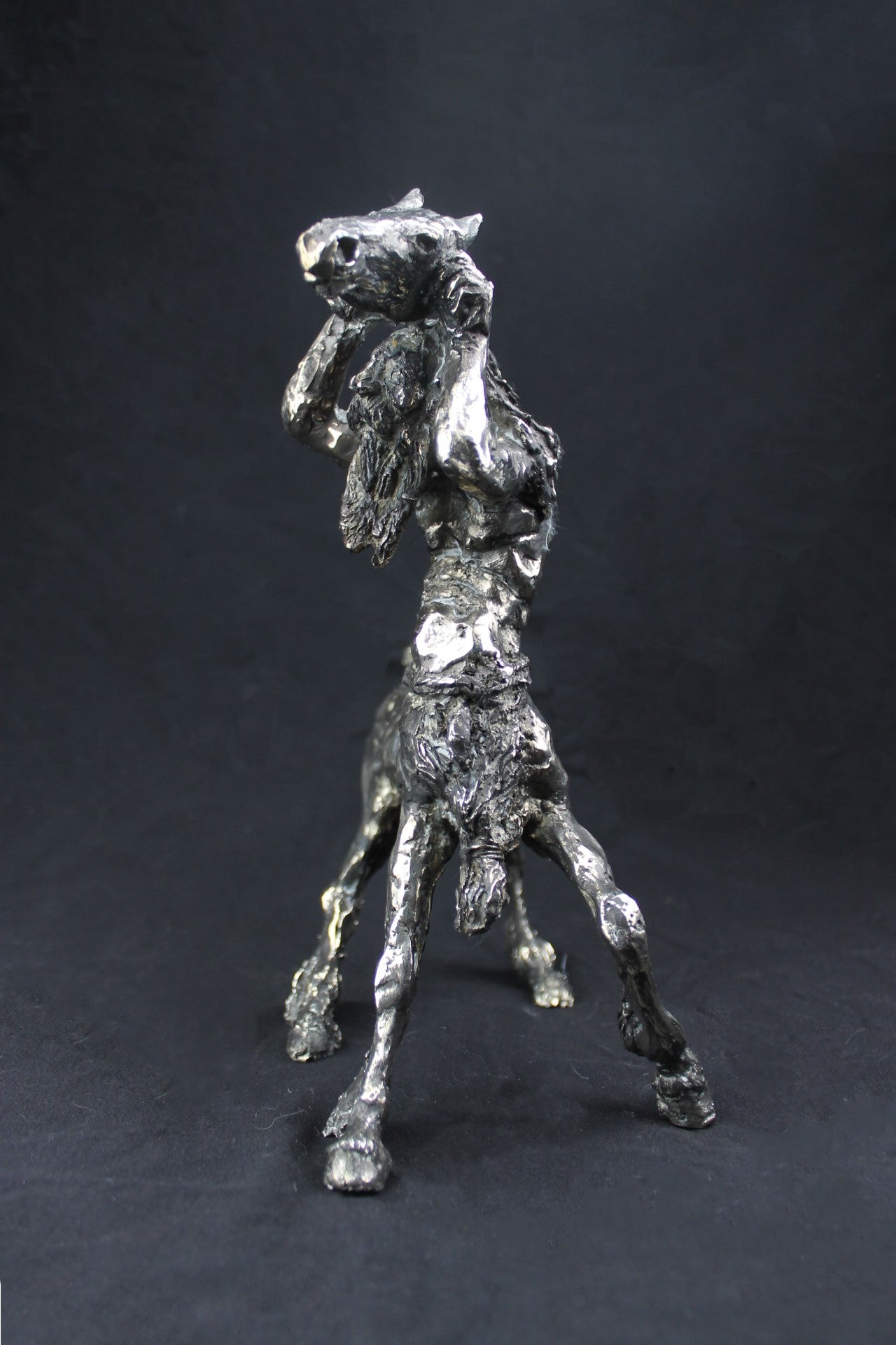 audrey flechet, sculpture, bronze, centaure, bronce, fonderie du champ bon, centaur, centauro, krotos