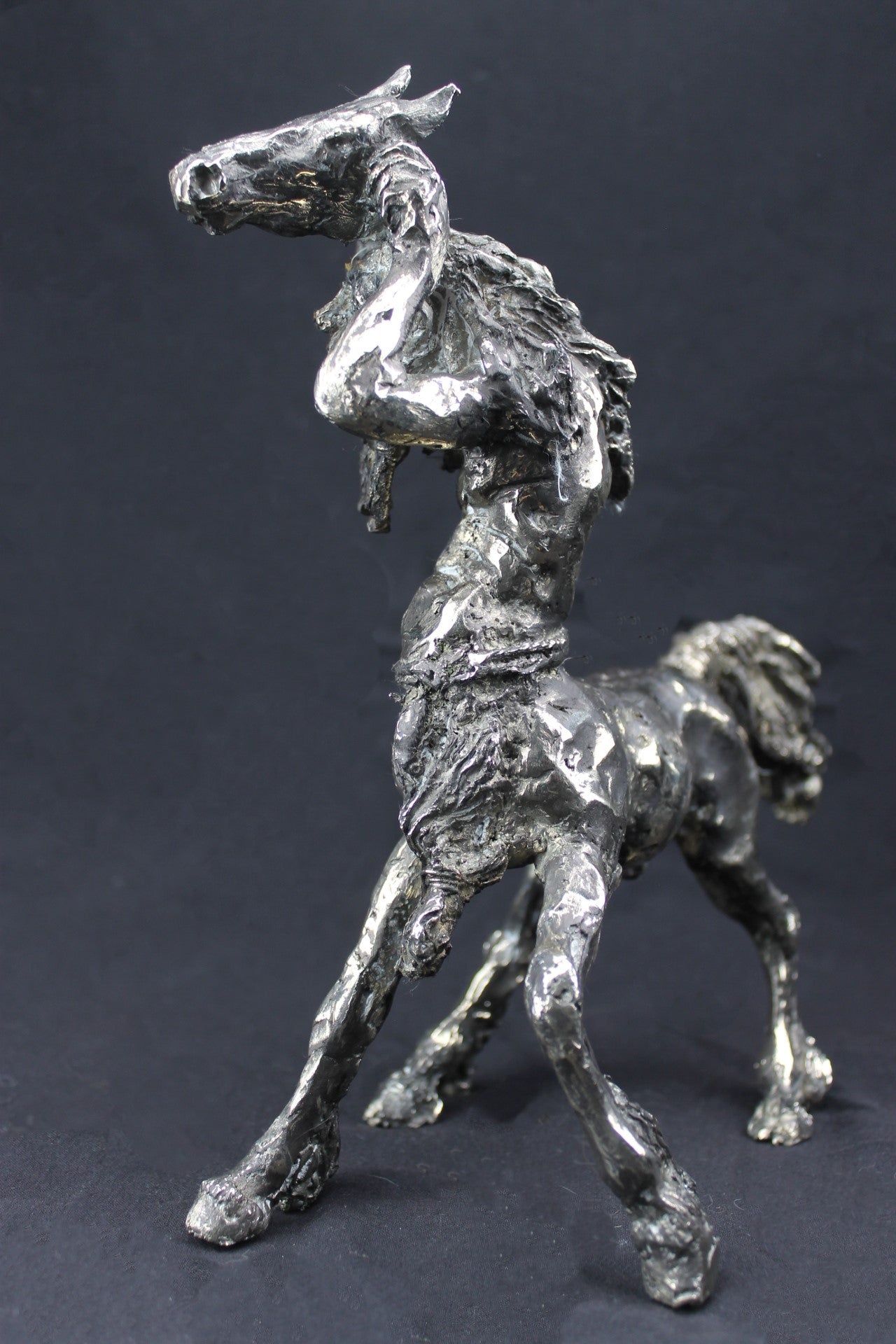 audrey flechet, sculpture, bronze, centaure, bronce, fonderie du champ bon, centaur, centauro, krotos