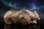ours, sculpture, contemporaine, bronze, technique, cire perdue, lost wax, audrey flechet, flechet, fonderie du champ bon, morsus borealis