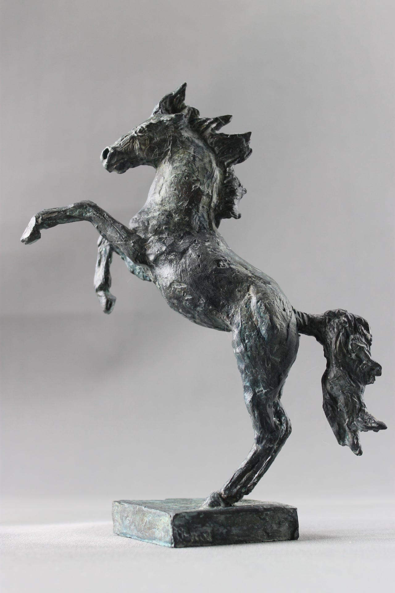 cheval cabré, sculpture, bronze, bronze équestre, audrey flechet, fonderie du champ bon, prancing horse, metal casting, lost wax, cire perdue, cavallo, caballo, bronce, bronzo