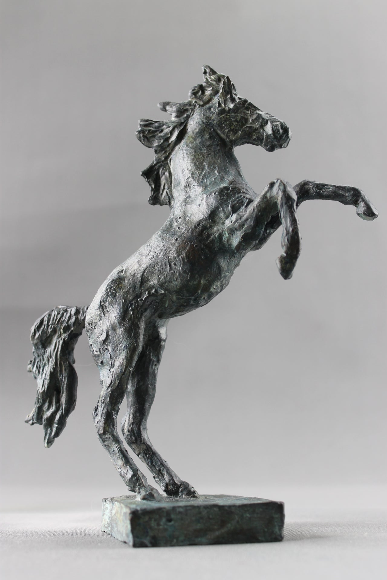 cheval cabré, sculpture, bronze, bronze équestre, audrey flechet, fonderie du champ bon, prancing horse, metal casting, lost wax, cire perdue, cavallo, caballo, bronce, bronzo