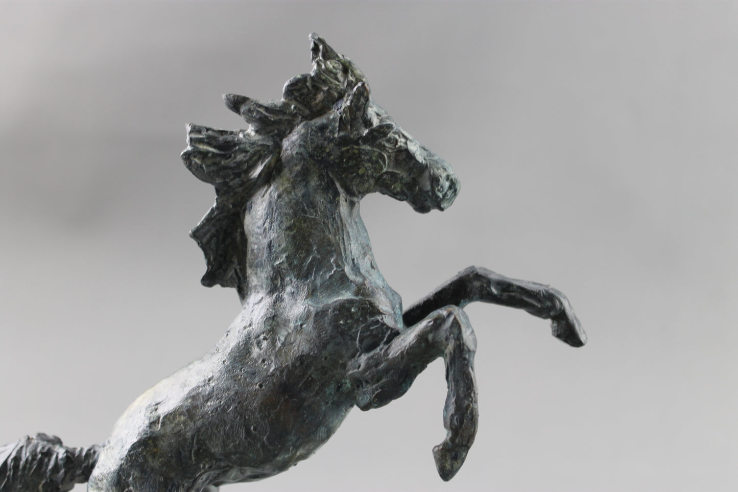 cheval cabré, sculpture, bronze, bronze équestre, audrey flechet, fonderie du champ bon, prancing horse, metal casting, lost wax, cire perdue, cavallo, caballo, bronce, bronzo