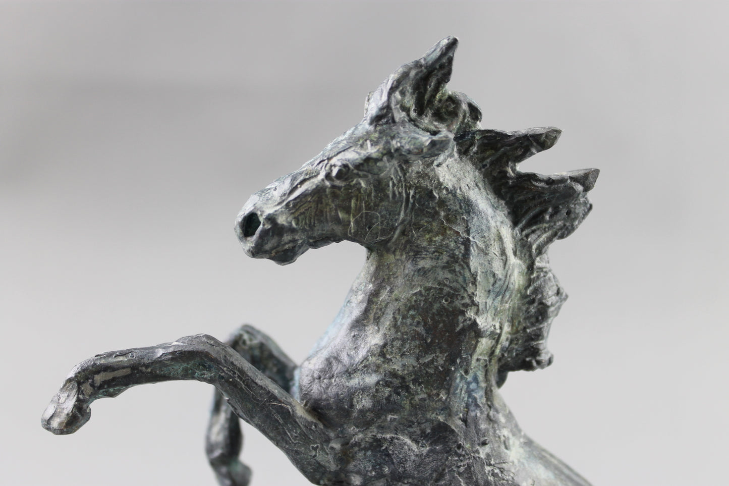 cheval cabré, sculpture, bronze, bronze équestre, audrey flechet, fonderie du champ bon, prancing horse, metal casting, lost wax, cire perdue, cavallo, caballo, bronce, bronzo, art moderne, sculpture moderne, art contemporain, sculpture contemporaine