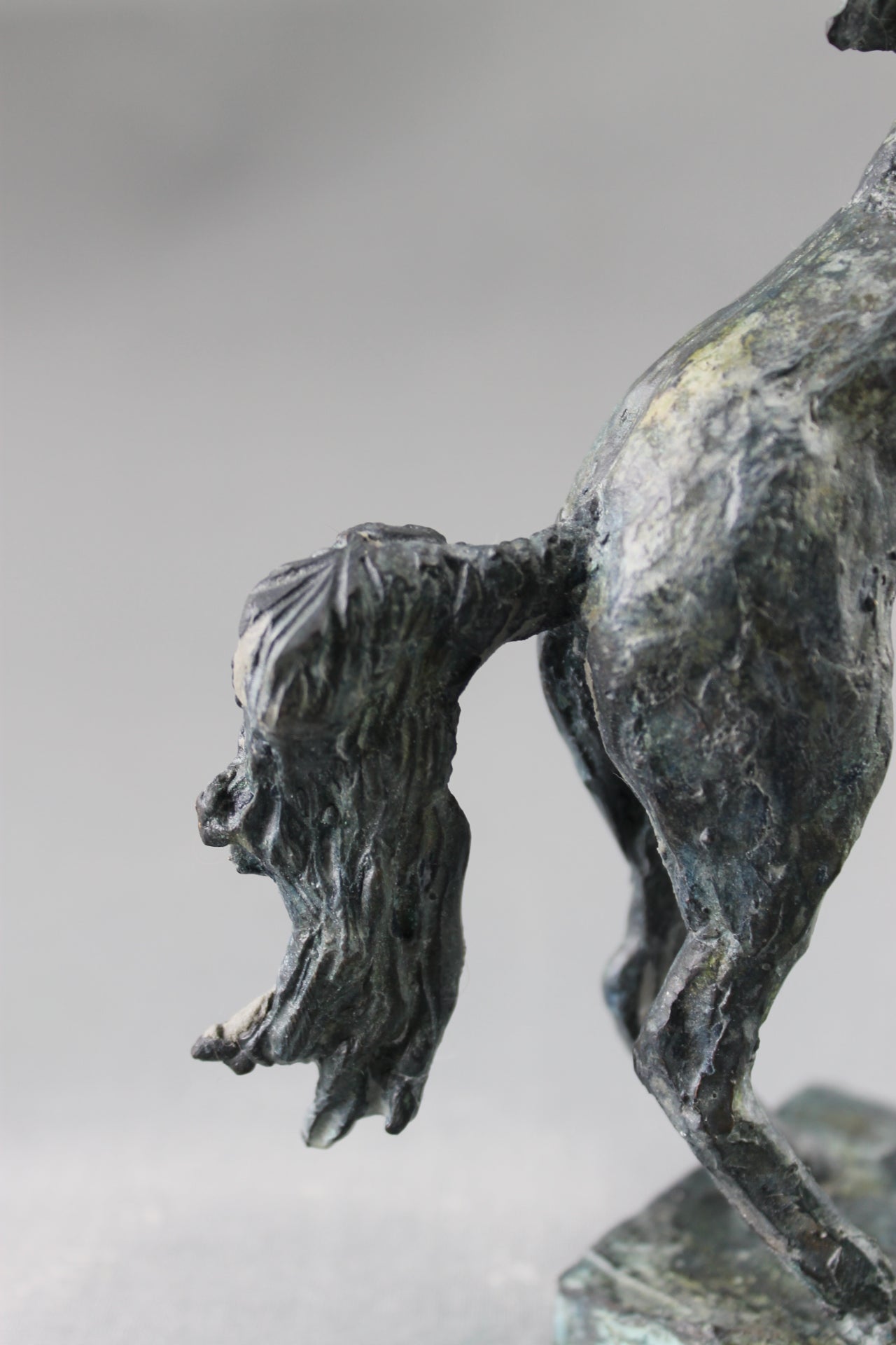 cheval cabré, sculpture, bronze, bronze équestre, audrey flechet, fonderie du champ bon, prancing horse, metal casting, lost wax, cire perdue, cavallo, caballo, bronce, bronzo