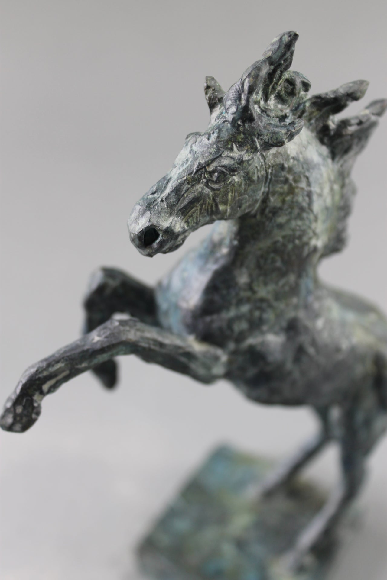 cheval cabré, sculpture, bronze, bronze équestre, audrey flechet, fonderie du champ bon, prancing horse, metal casting, lost wax, cire perdue, cavallo, caballo, bronce, bronzo