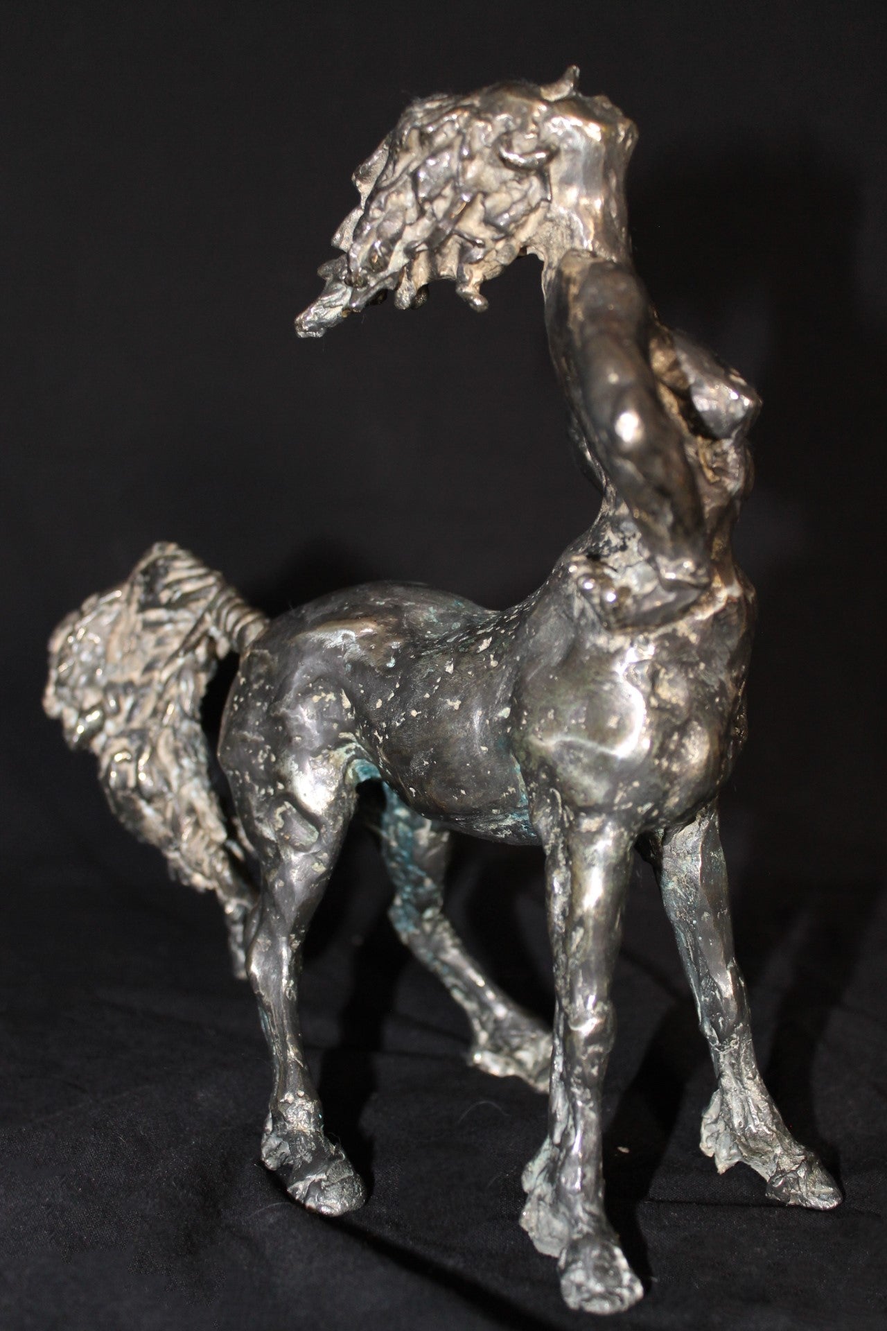 audrey flechet, sculpture, bronze, centaure, bronce, fonderie du champ bon, centaur, centauro, occyrhoé