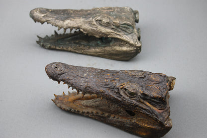 Tête de Crocodile en Bronze - Sculpture Artisanale d'Exception