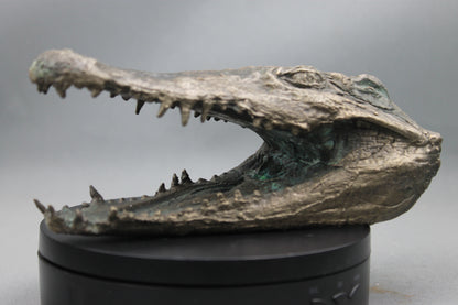 Tête de Crocodile en Bronze - Sculpture Artisanale d'Exception
