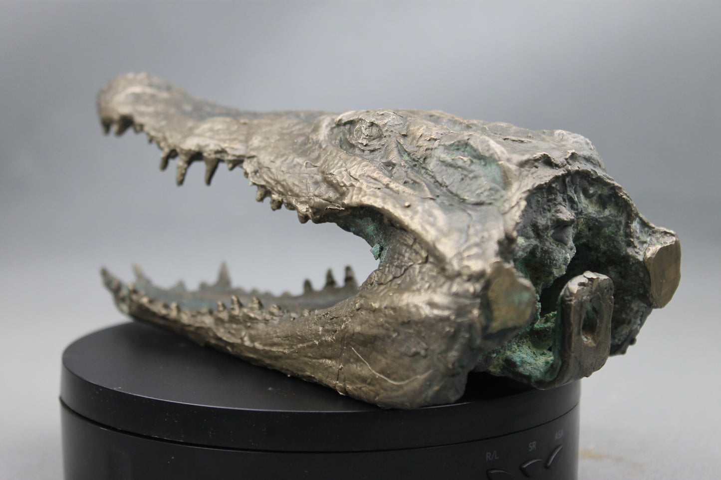 Tête de Crocodile en Bronze - Sculpture Artisanale d'Exception