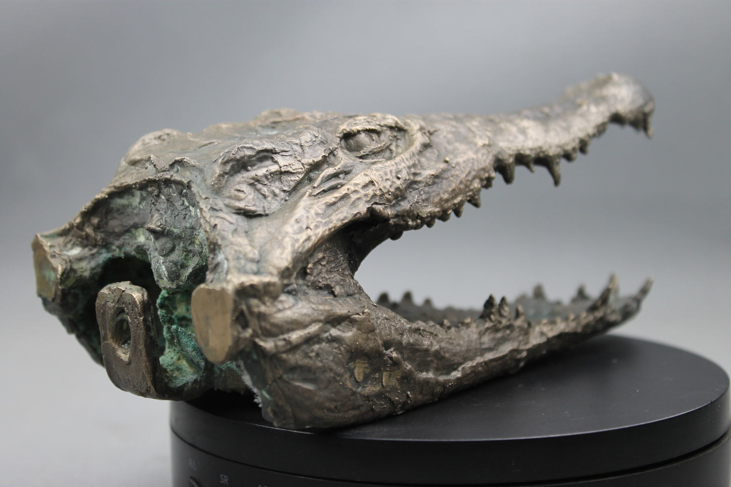 Tête de Crocodile en Bronze - Sculpture Artisanale d'Exception