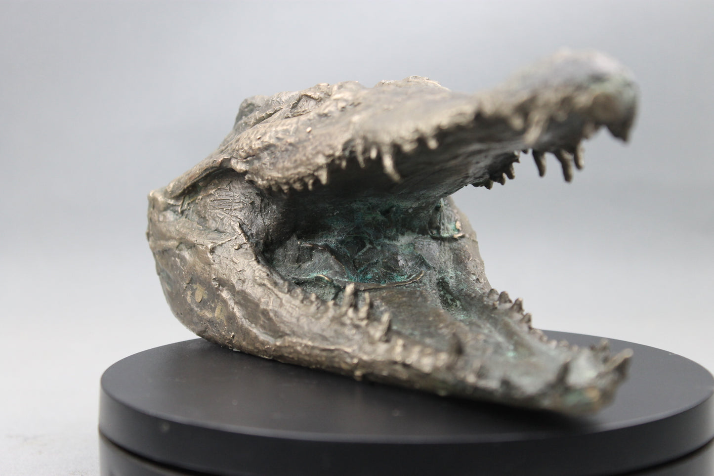 Tête de Crocodile en Bronze - Sculpture Artisanale d'Exception