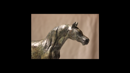 Plume de Cheval