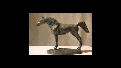 Plume de Cheval